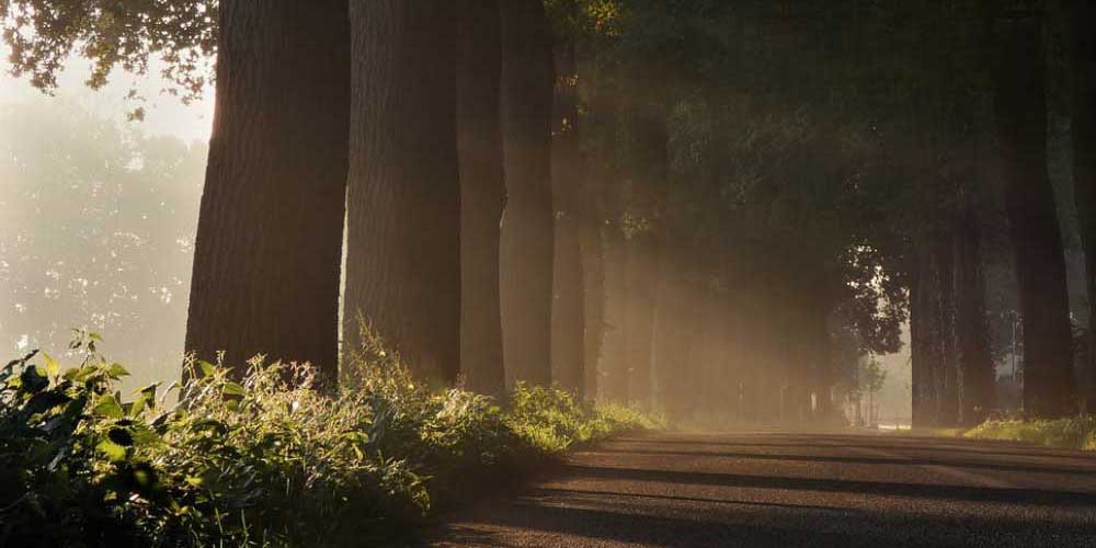 caring for your driveway